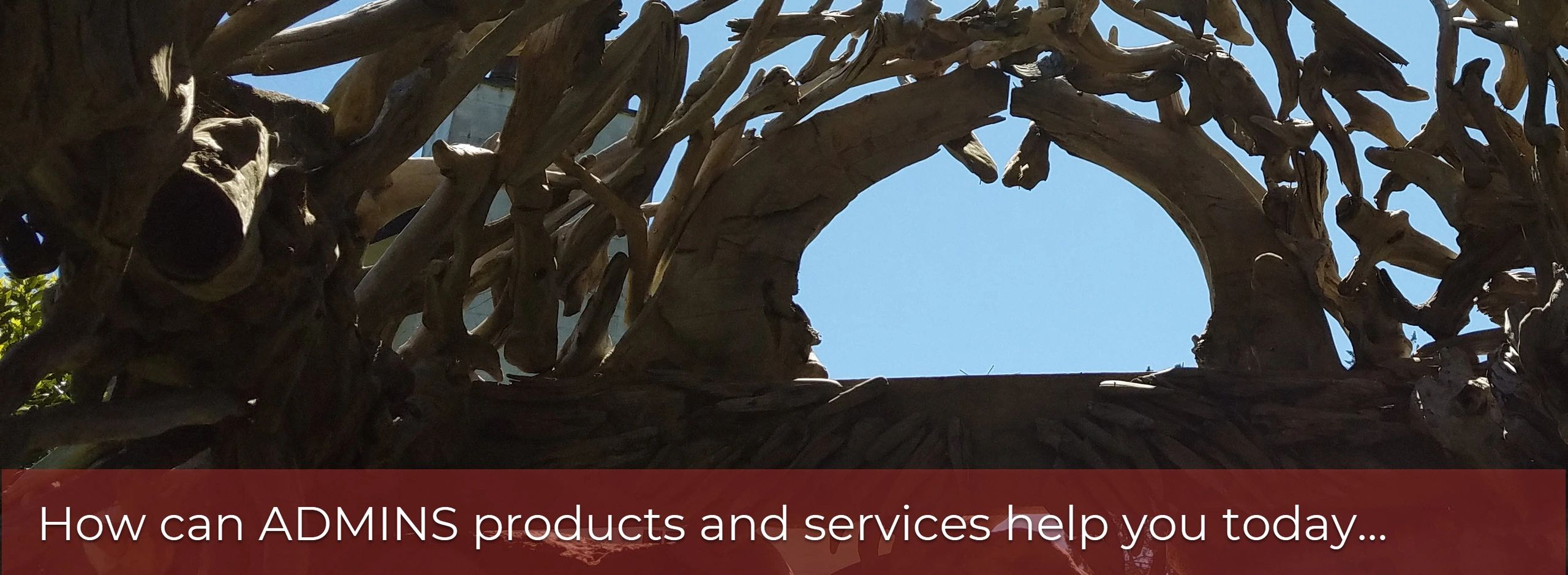 How can ADMINS products and services help you get through the tangle and into the bright sky