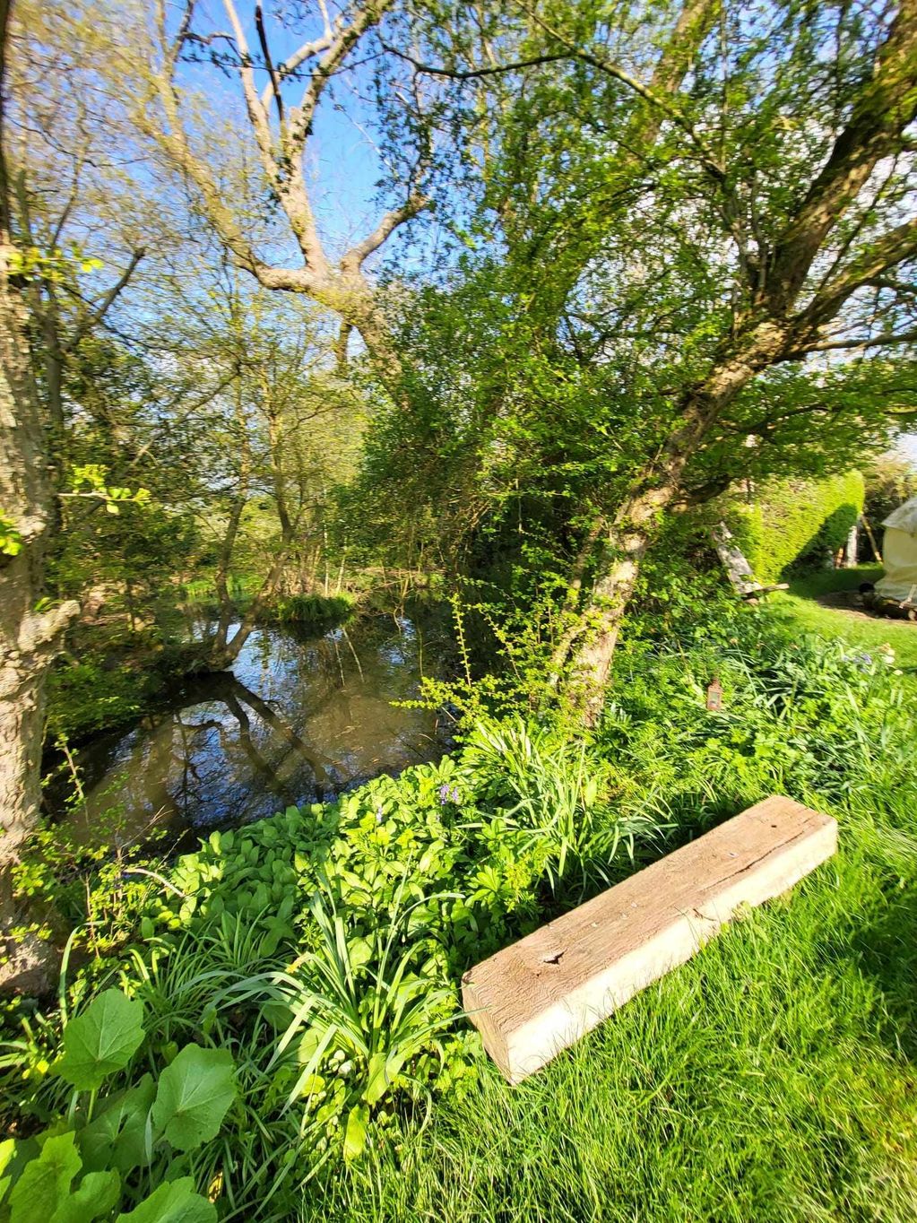 Seat by the pond
