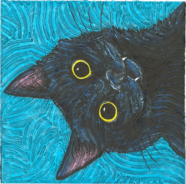 Black cat humorous