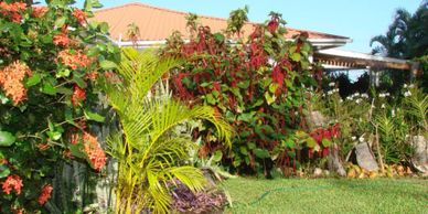 A lush garden with colorful flowers and green grass in front of a house.