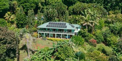 A house with solar panels surrounded by lush greenery and trees.