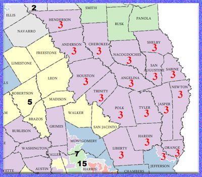 Redistricted Texas Senate District 3 - Portion of Map - Source: Senate District 3