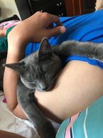 Waffles was part of a litter of fo