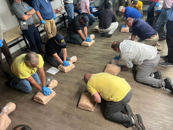 Group CPR training session with mannequins.
