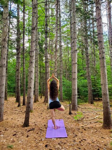 Yoga in the forest