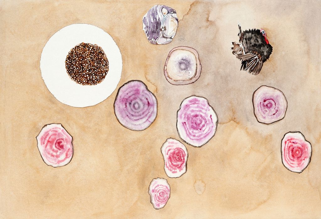Acuarela de cortes de betabel, semillas y un guajolote
Watercolor of beet cuts, seeds and a turkey