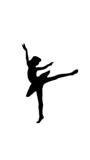 The Premier Ballet School of Orange County