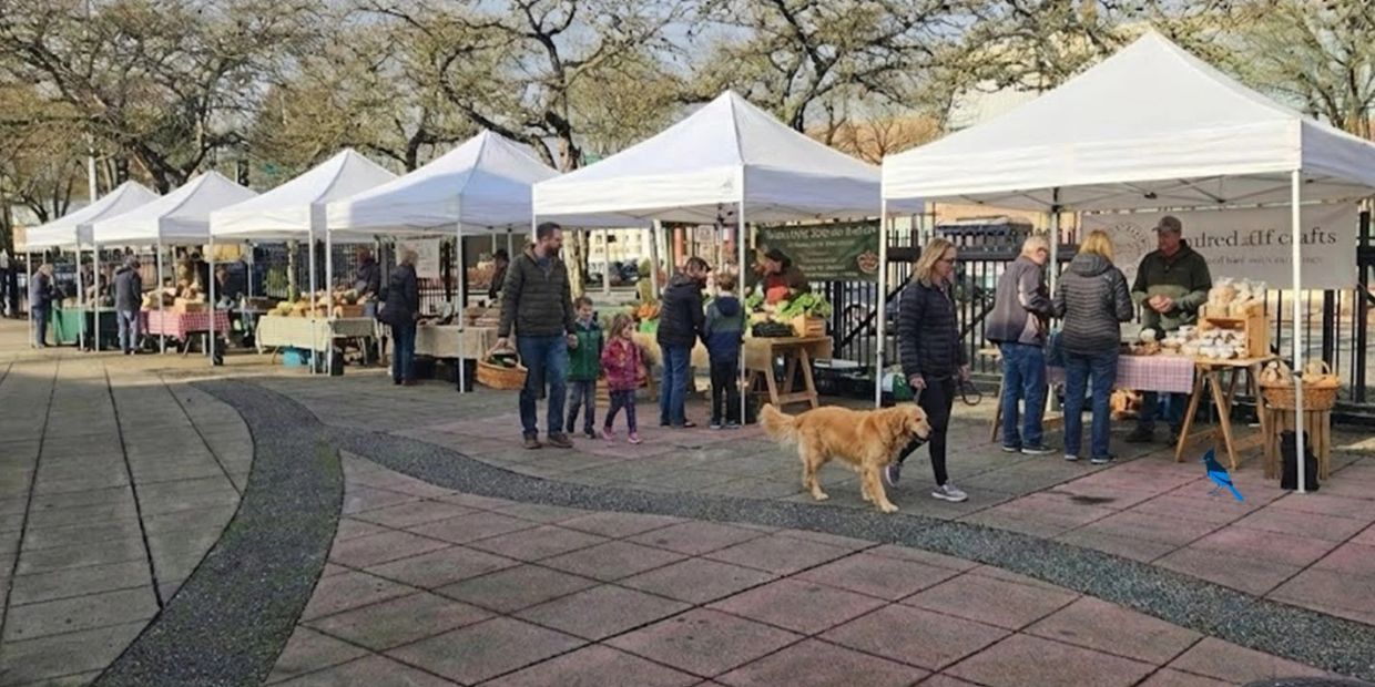 Outdoor farmers market with white tents and people shopping.