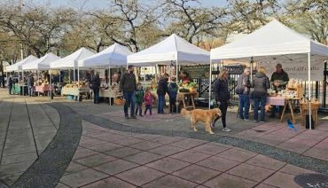Outdoor farmers market with white tents and people shopping.