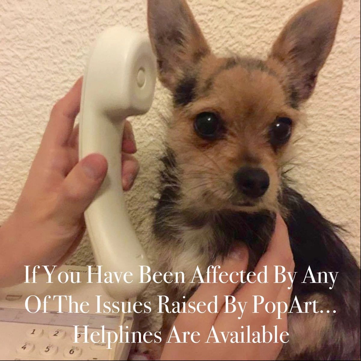 A small dog and a phone with text about helplines for PopArt issues.