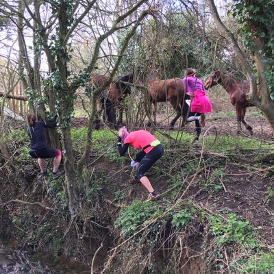 Toppesfield Troubles
