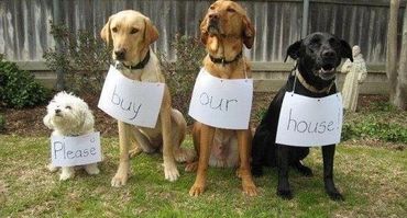 Customer asking to buy their house