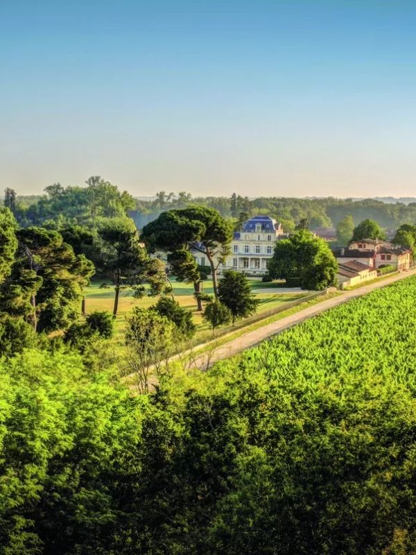 Domaine verdoyant avec une grande maison blanche.