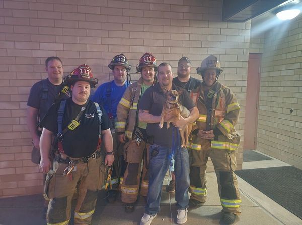 Members saved a dog from an elevator shaft April 2025