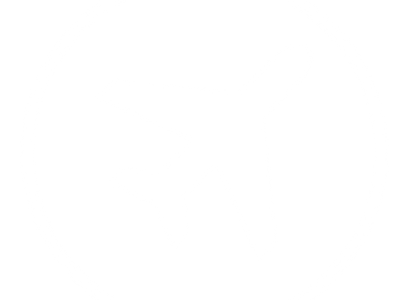 envío aéreo de cachorritos