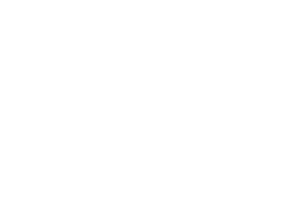 envío de cachorritos con seguridad