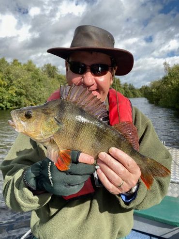 Perch fishing with the predator people angling guides on the norfolk broads