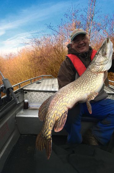 fishing in Norfolk client with a cracking Norfolk broads pike