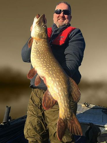 plumb pike caught with the predator people angling guides