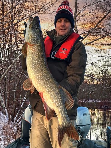 beautiful Norfolk broads pike caught with fishing in Norfolk the predator people angling guides