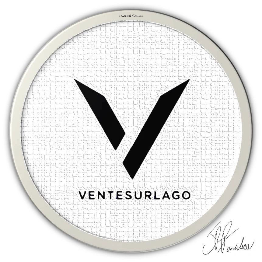 Black stylized V logo with 'VENTESURLAGO' text on textured white background.