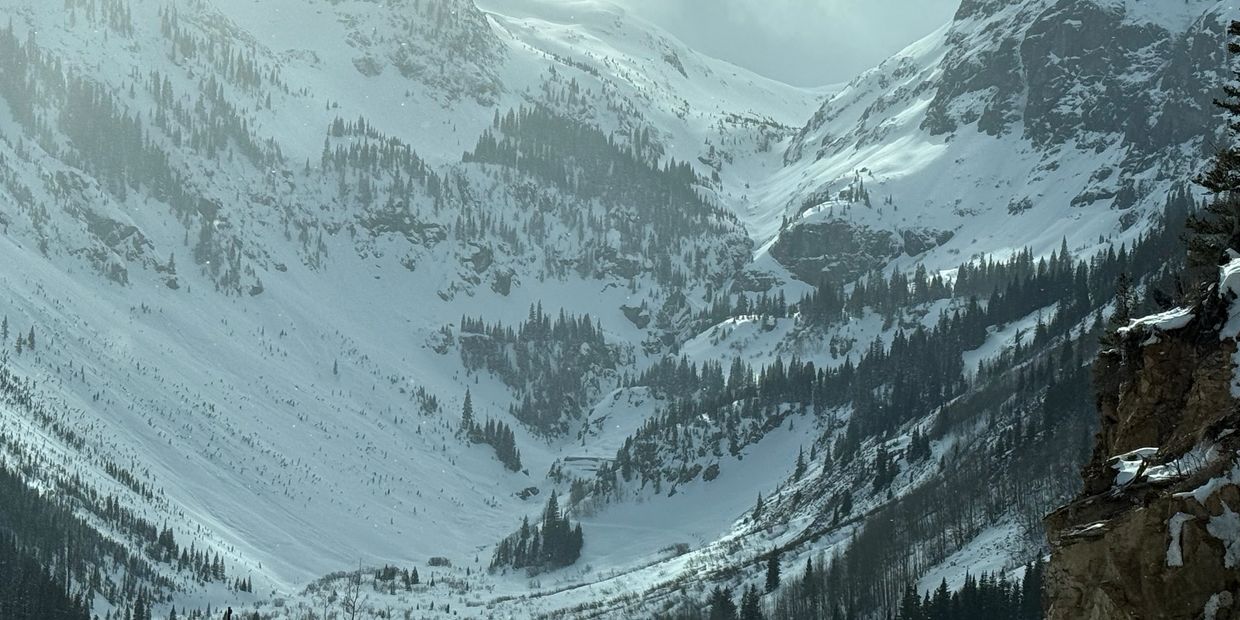 Snow-covered mountains with dense pine trees under a cloudy sky.
