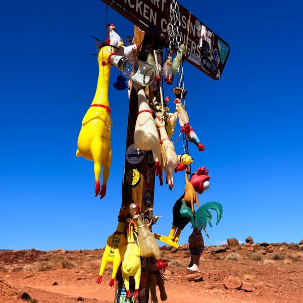 Rubber chickens hanging from a wooden signpost in a desert landscape under a clear blue sky.