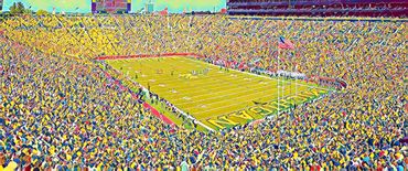 Michigan Stadium, the Big House. Michigan Wolverines.