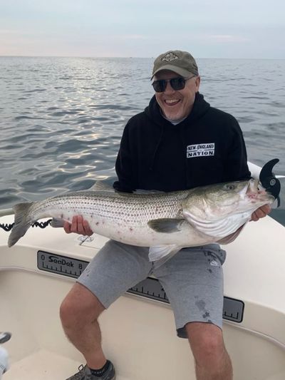 Happy fisherman with a striped bass from the fishing charter. 