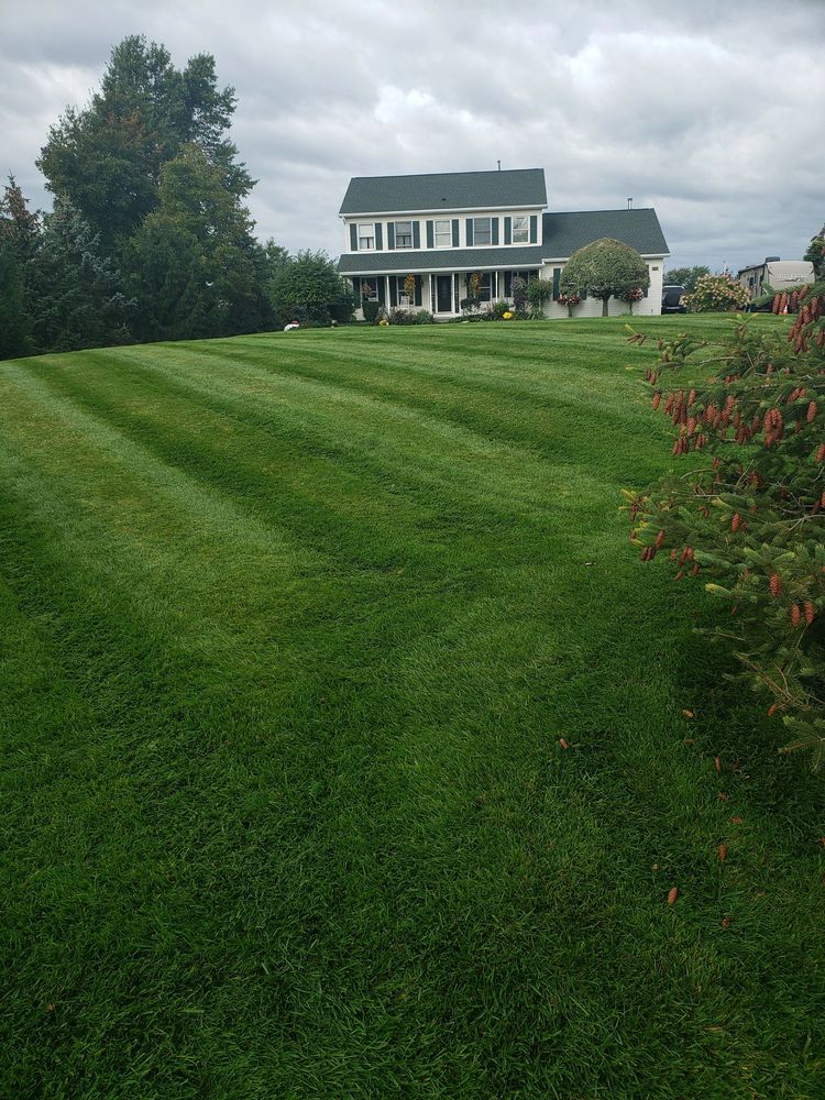 image959