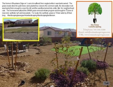 Mountains Edge SNWA grass conversion