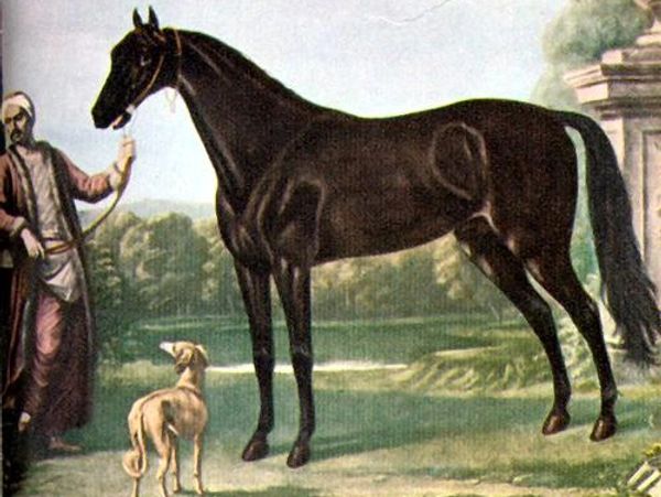 Man holding horse by reins with a dog nearby.