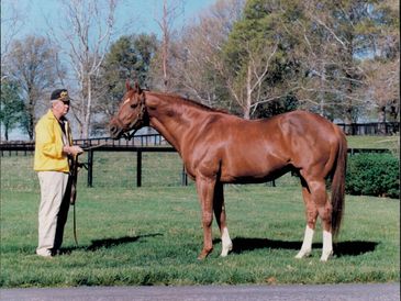 Secretariat has elite genetics.