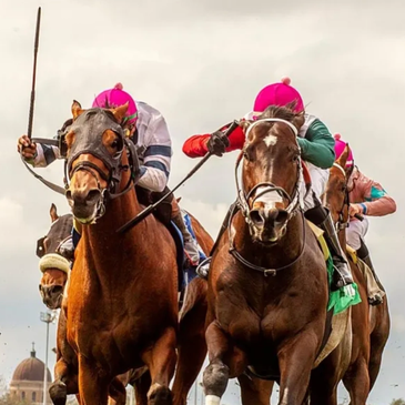 Horse race with jockeys in colorful outfits.