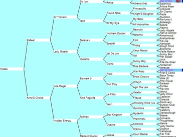 thebluebloods.com elite racehorse pedigree chart