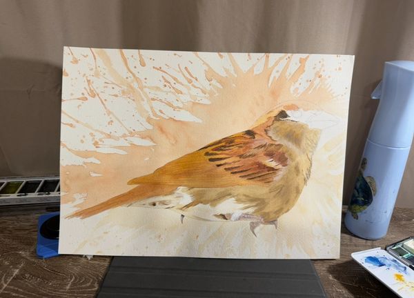 work in progress of a sparrow painting