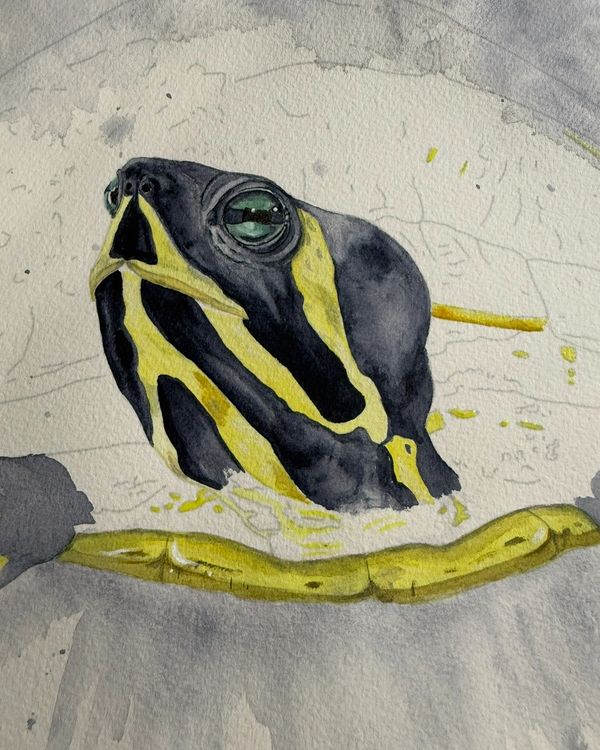 work in progress of a turtle painting