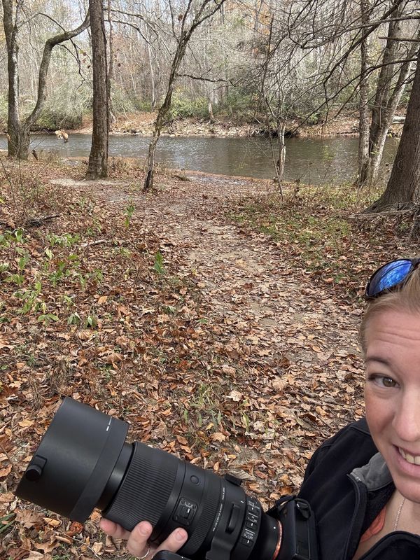 Spotted elk in the creek!