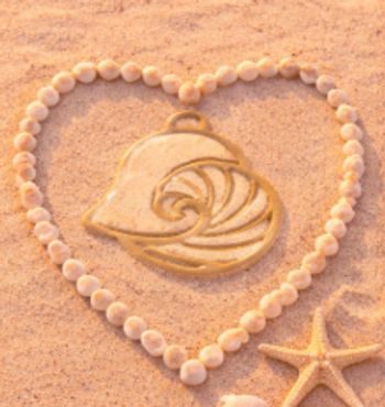 Heart shape made of shells with sand art and starfish inside on the beach.