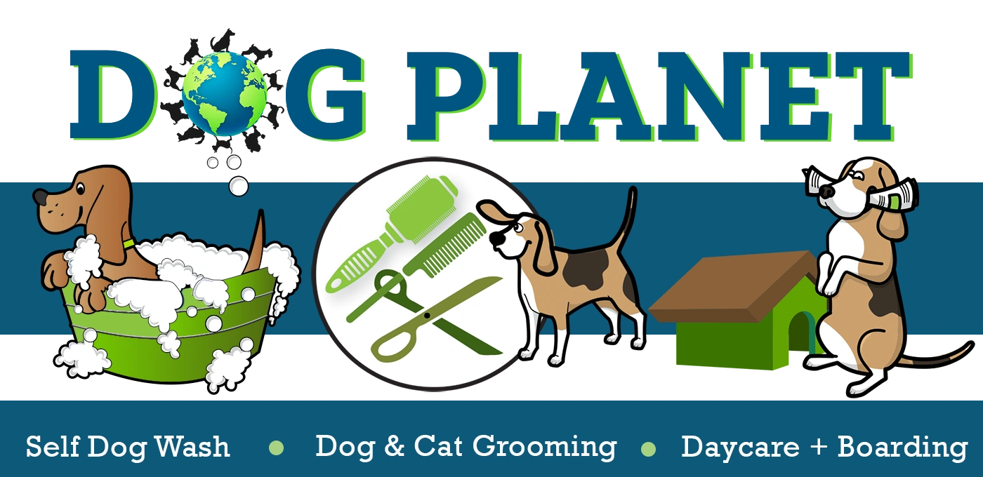 Pet Grooming Astoria Ny Dog Planet Ny