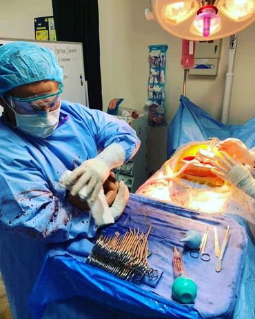 Surgical Technology Program Bay Area