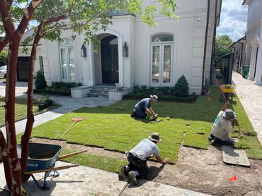 Men installing sod on soil