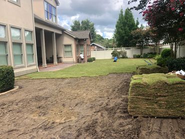 Zoysia sod being installed backyard on soil