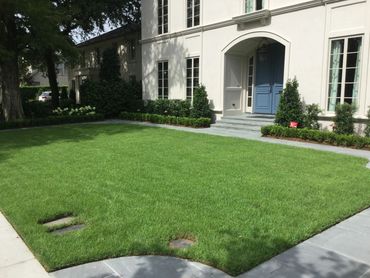 Front yard Zoysia lawn with landscaping