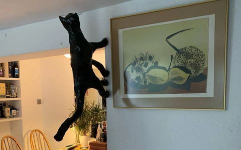 cat sculpture on the wall