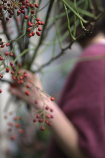 Relaxed brand portrait of a Devon creative building their local business