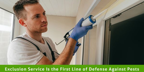 Pest exclusion service in Houstin and The Woodlands, Texas