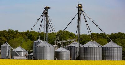 Metal grain silos with green trees and blue sky in the background.