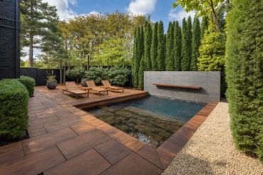 Modern backyard with a small pool and wooden lounge chairs surrounded by greenery.