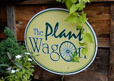 Plant Wagon. Sells plants Landscape plants unique plants, house plants, drought tolerant plants